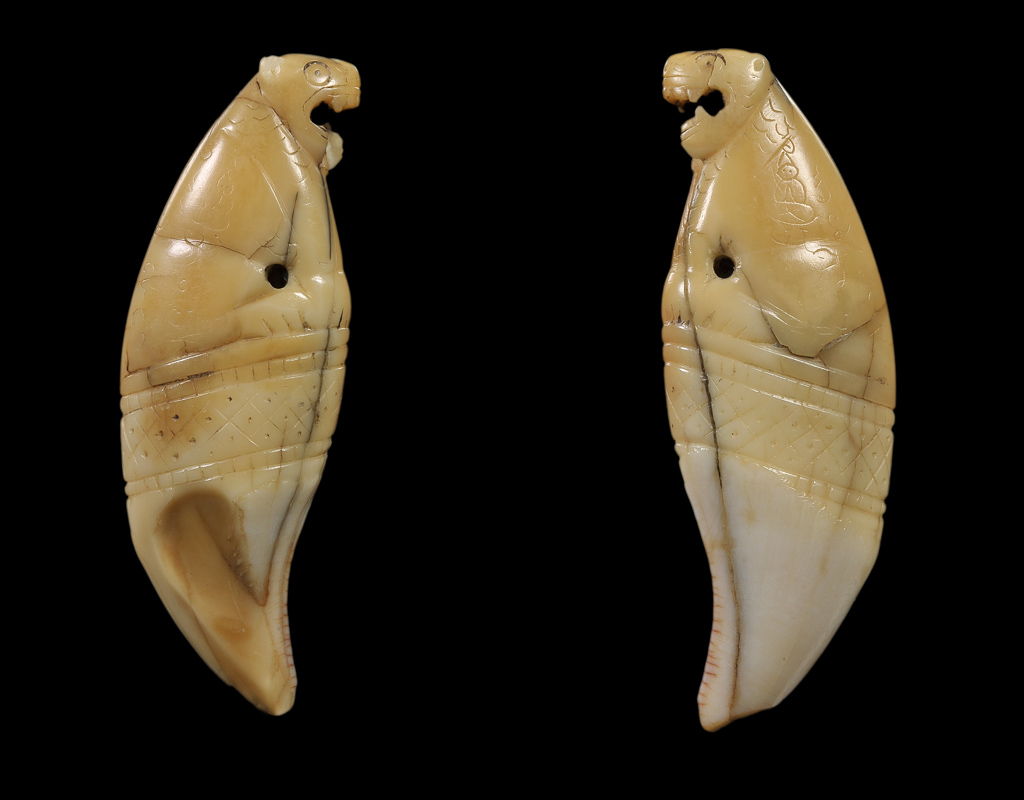 เสือหลวงพ่อนก วัดสังกะสี