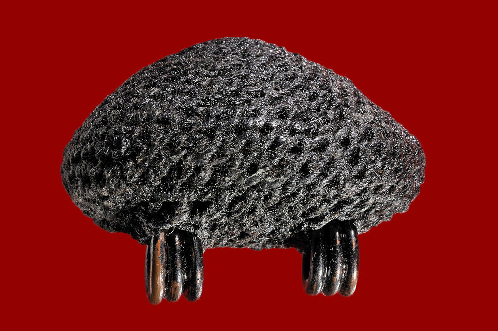 เบี้ยแก้หลวงปู่เจือ วัดกลางบางแก้ว