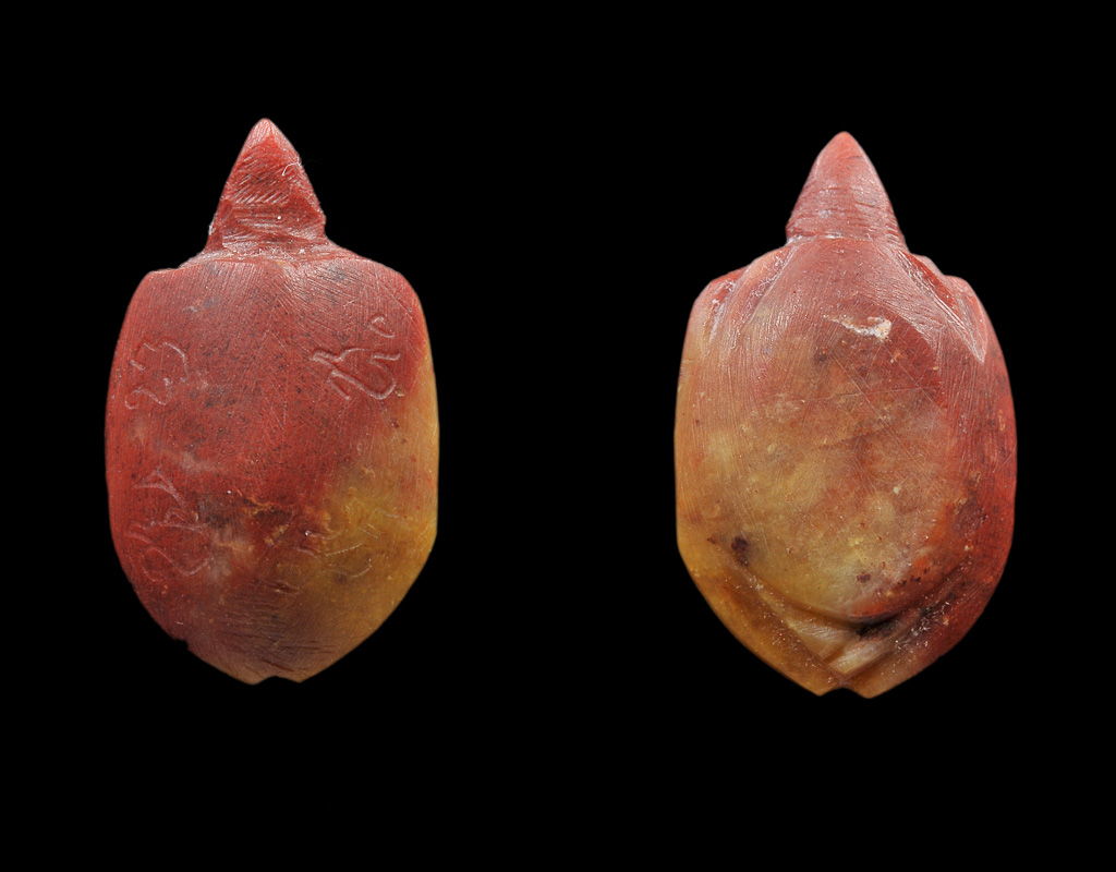 เต่าเรือน(สาริกา) ขนาดเล็ก ล.พ.สนิท วัดลําบัวลอย