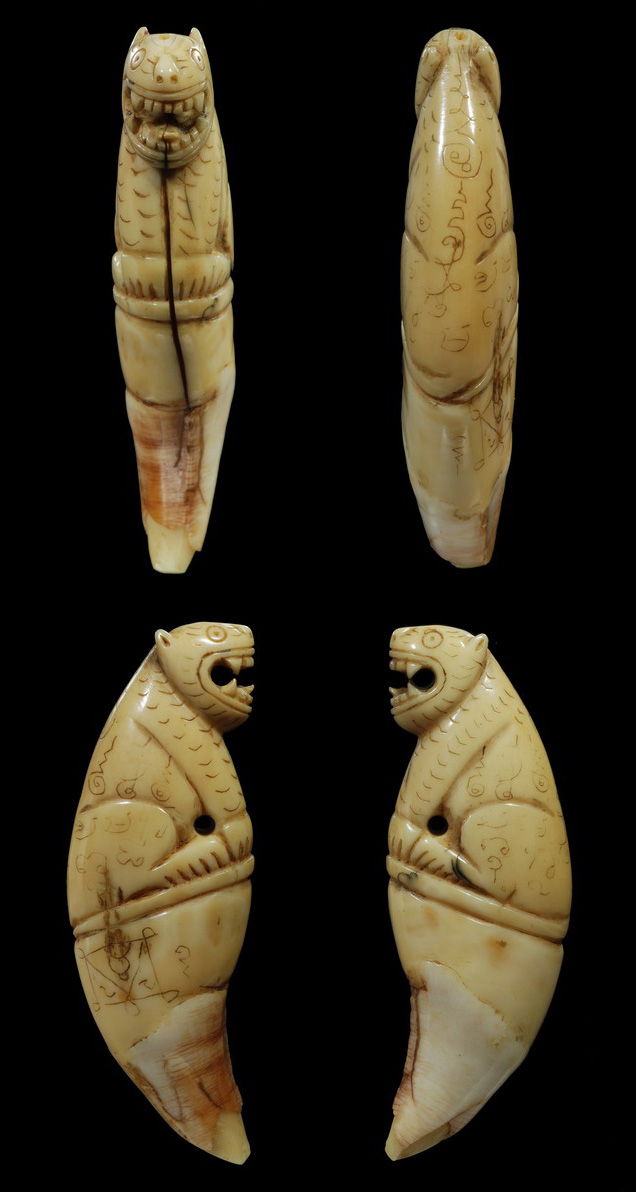 เสือหลวงพ่อนก สวยแชมป์