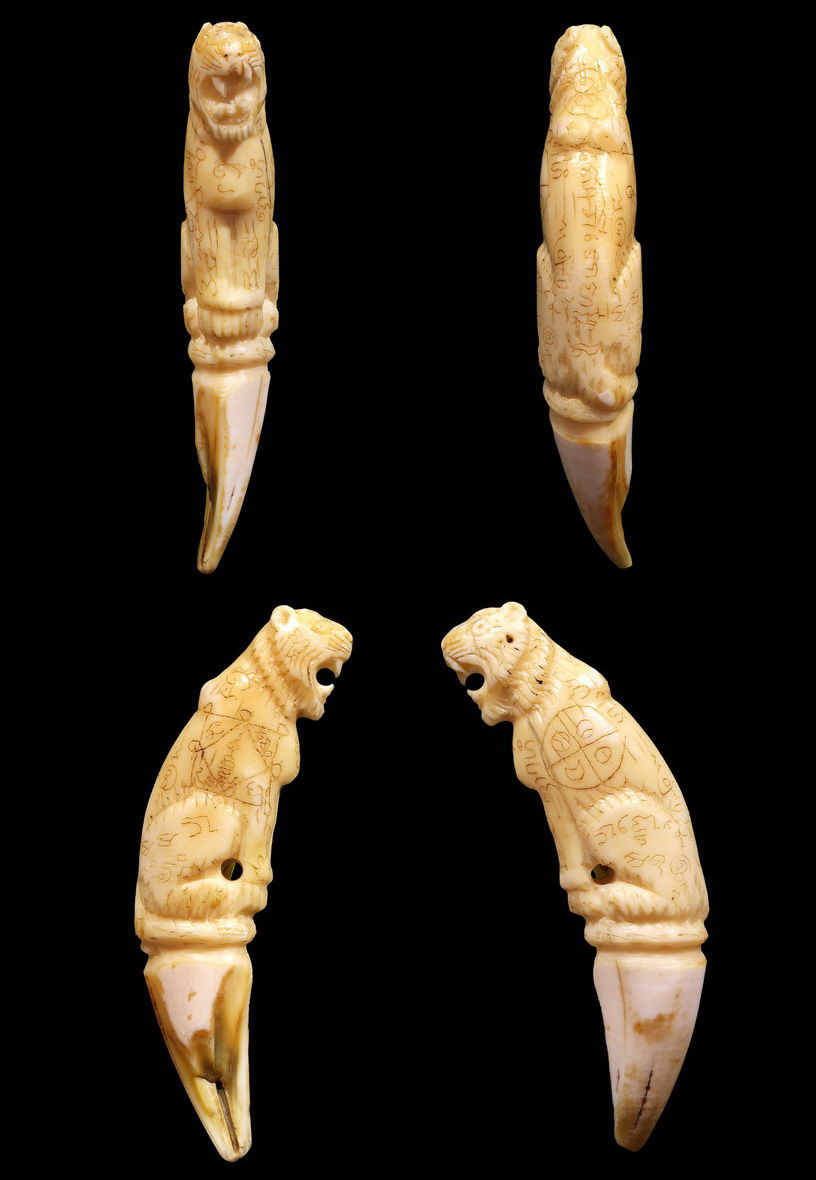 เขี้ยวเสือสมิง หลวงพ่อคง  ยุคต้น