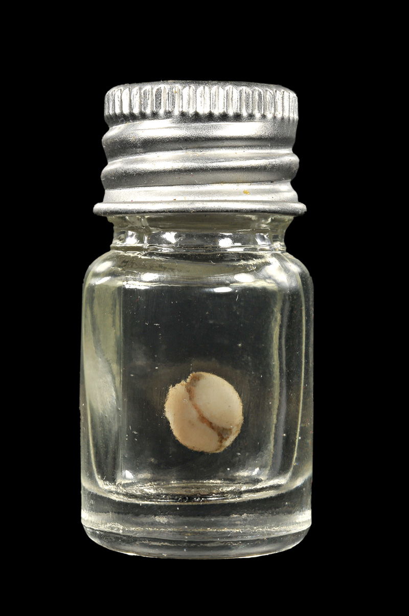 เนตรพระศิวะ หลวงพ่อสนิท