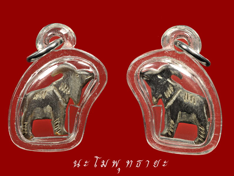 แพะเมตตา หลวงพ่อเริ่ม ปรโม