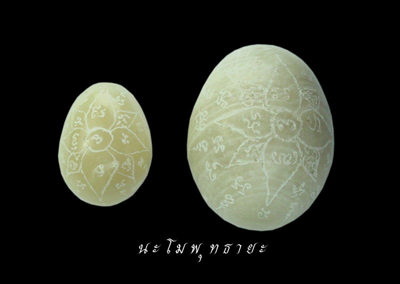 โชว์ไข่พญากาเผือก หลวงพ่อสนิท