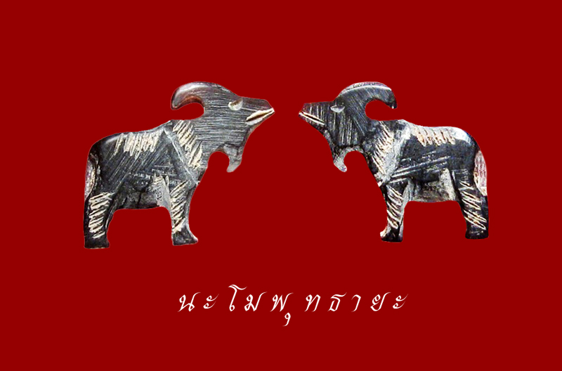 แพะเมตตา สายตรงหลวงพ่ออ่ำ