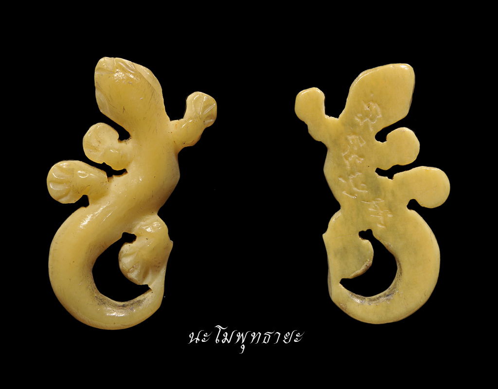 จิ้งจกงาแกะ หลวงปู่หน่าย วัดบ้านแจ้ง