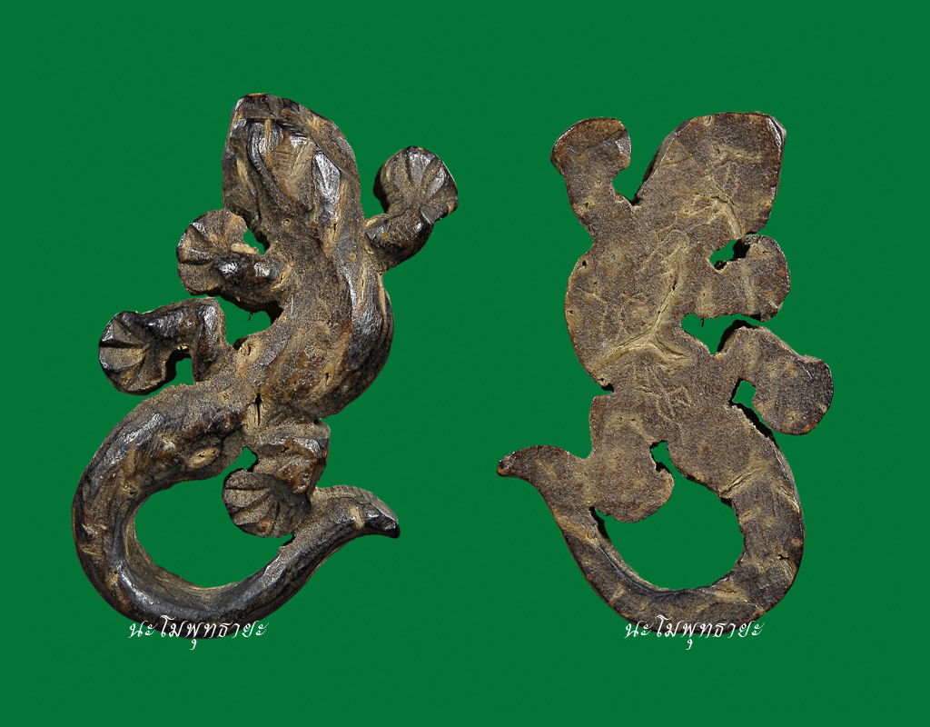 จิ้งจกเนื้อกะลา หลวงปู่หน่าย วัดบ้านแจ้ง อยุธยา