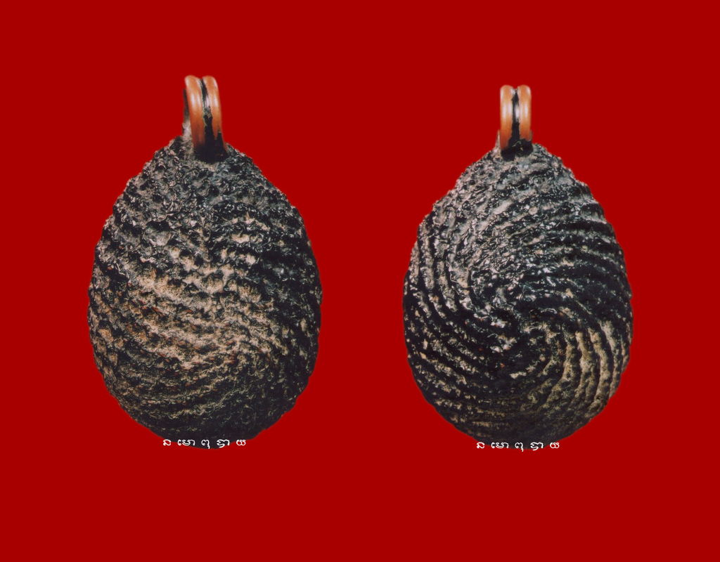 เบี้ยแก้ห่วงตั้ง หลวงปู่เพิ่ม วัดกลางบางแก้ว