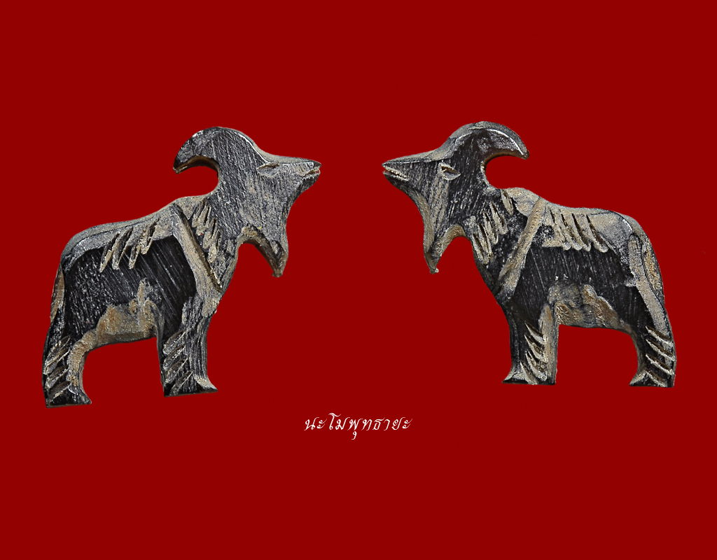 แพะเมตตา หลวงพ่อเริ่ม ปรโม ๕