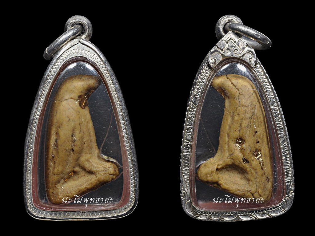 สาริการุ่นแรก หลวงพ่อสนิท วัดลำบัวลอย ตัวที่๘