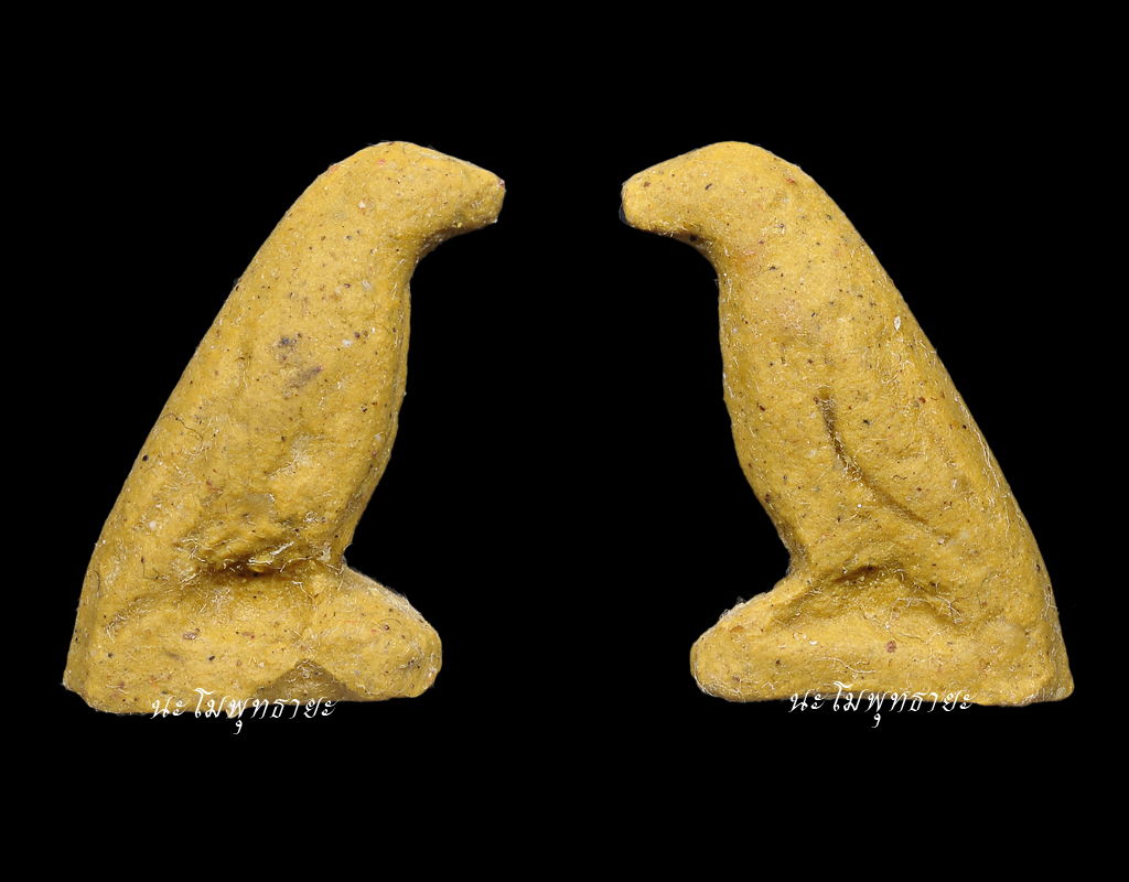 สาริกา หลวงปู่สนิท วัดลำบัวลอย ตัวที่๙