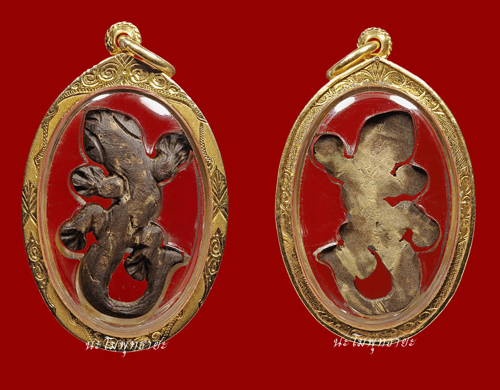 จิ้งจกเนื้อกะลา หลวงปู่หน่าย วัดบ้านแจ้ง หัวโตสวยจี๊ด